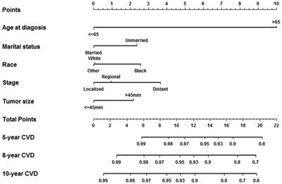 The impact of tumor characteristics on cardiovascular disease death in breast cancer patients with CT or RT: a population-based study